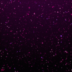 glitter-purple