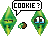 ***cookie****