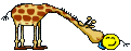 ###giraffe