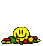 :verschh0603: